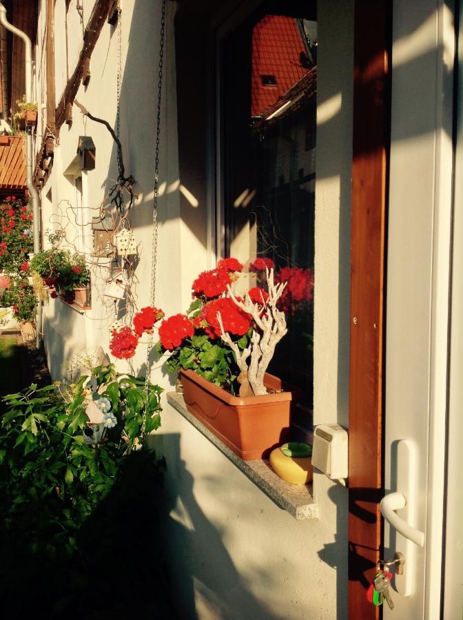 Apartmán Am Mathildenbrunnen Klein Quedlinburg Exteriér fotografie