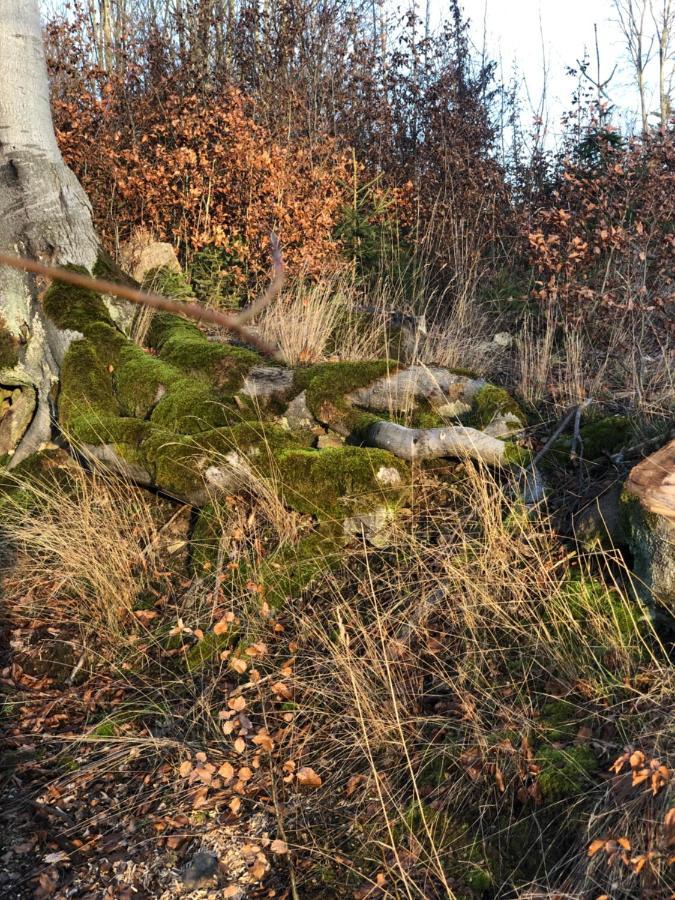 Apartmán Am Mathildenbrunnen Klein Quedlinburg Exteriér fotografie